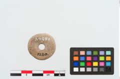 Foto von Beinringperle (NHMW-PRAE-024941)